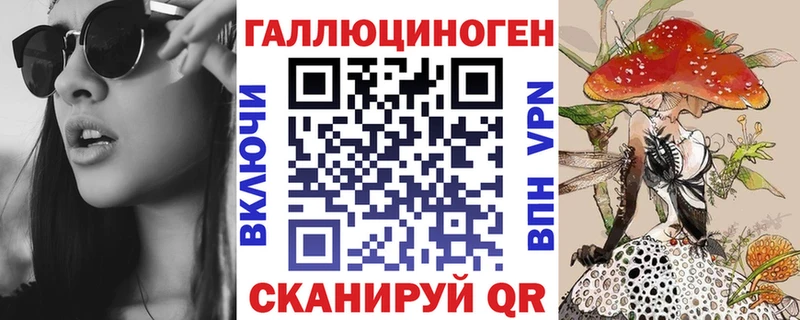 дарнет шоп Приволжск Галлюциногенные грибы Cubensis
